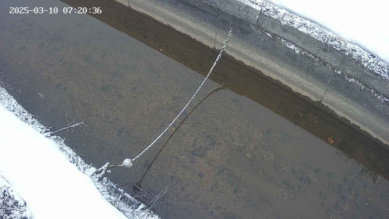 area10-20250310072037.jpg
