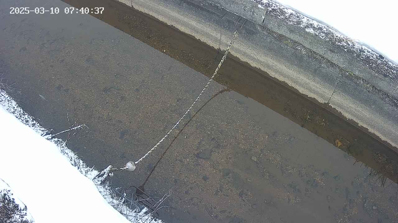 area10-20250310074037.jpg
