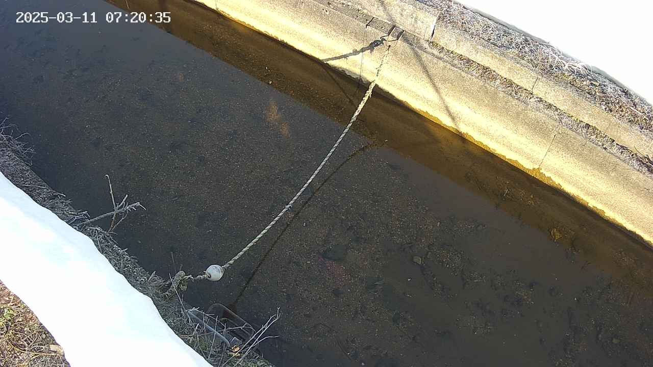area10-20250311072036.jpg