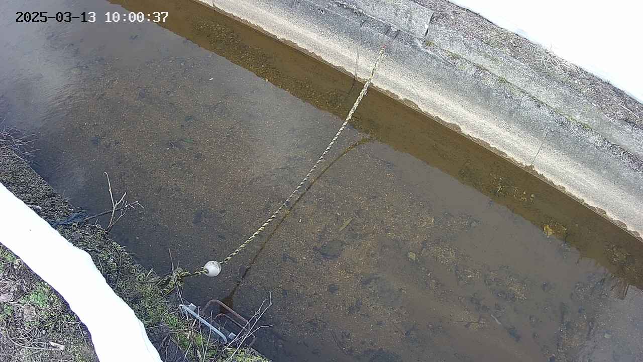area10-20250313100037.jpg