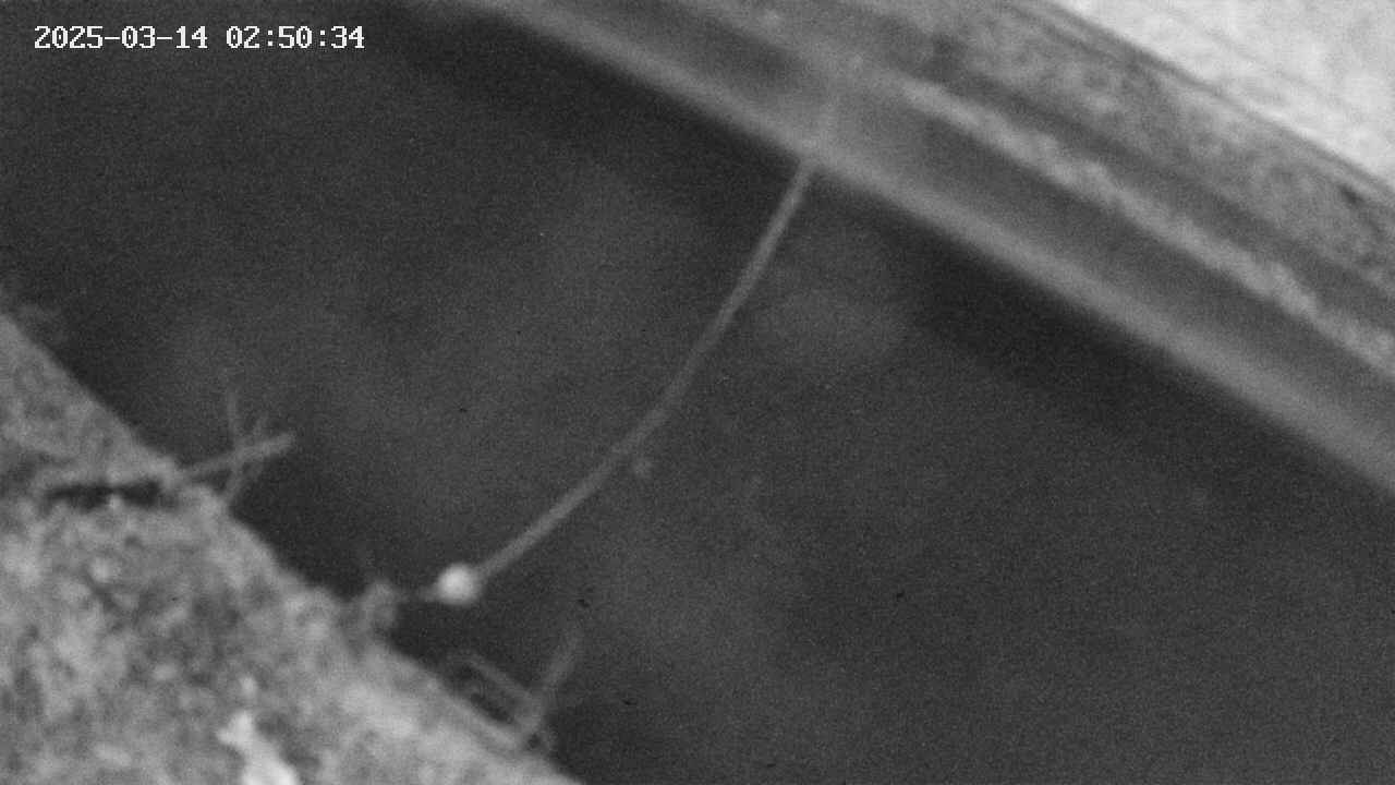 area10-20250314025035.jpg