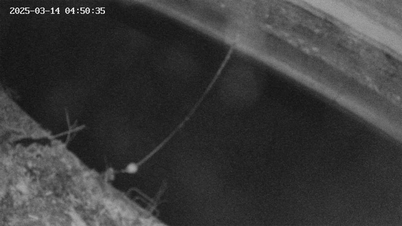 area10-20250314045036.jpg