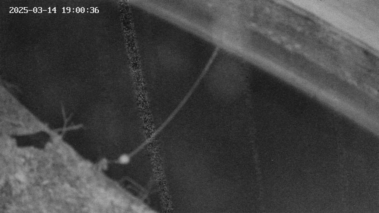 area10-20250314190037.jpg