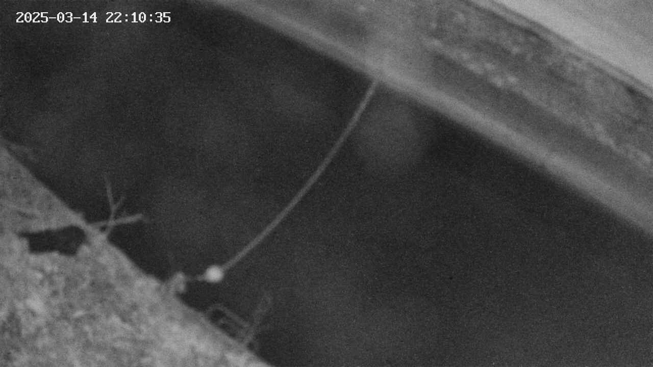 area10-20250314221036.jpg