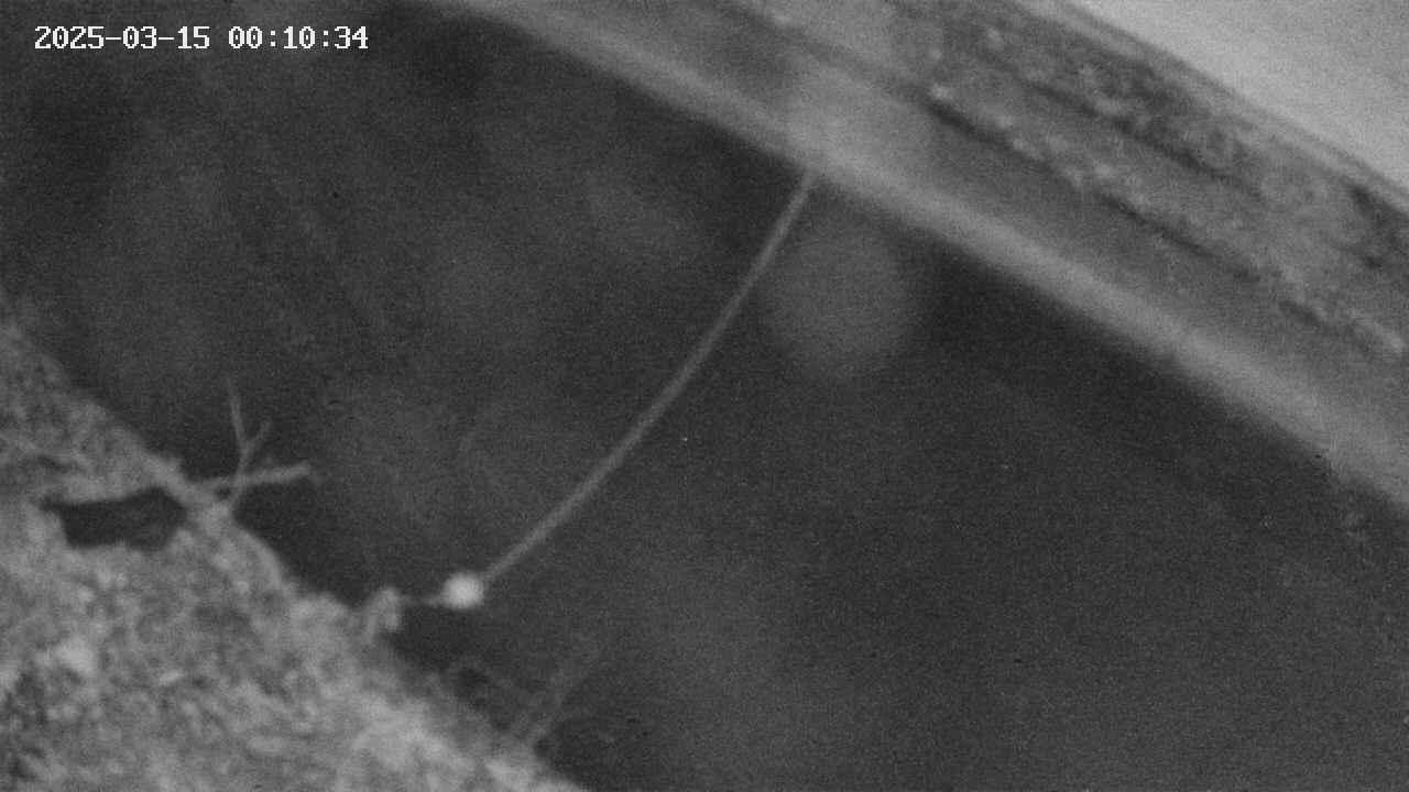 area10-20250315001035.jpg