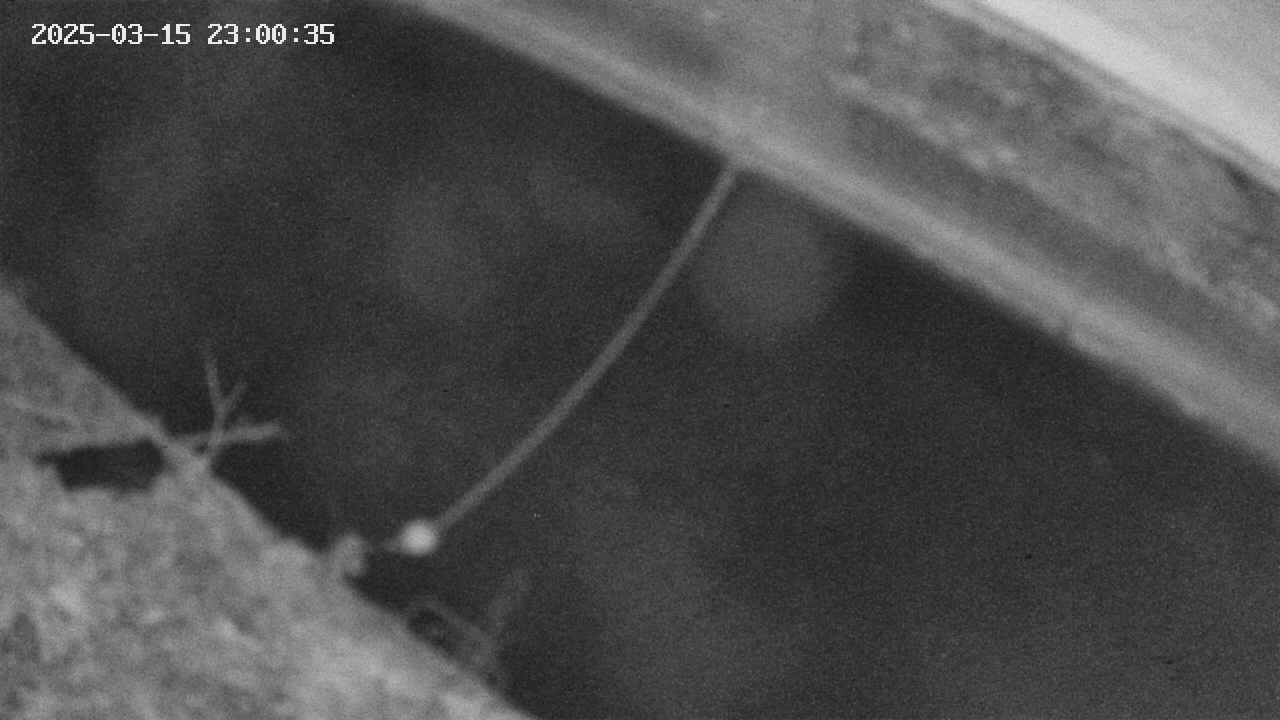 area10-20250315230036.jpg