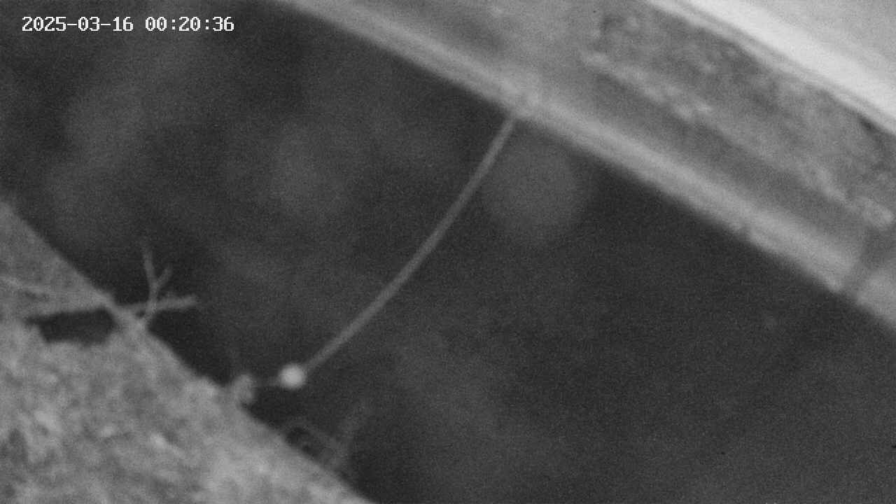 area10-20250316002037.jpg