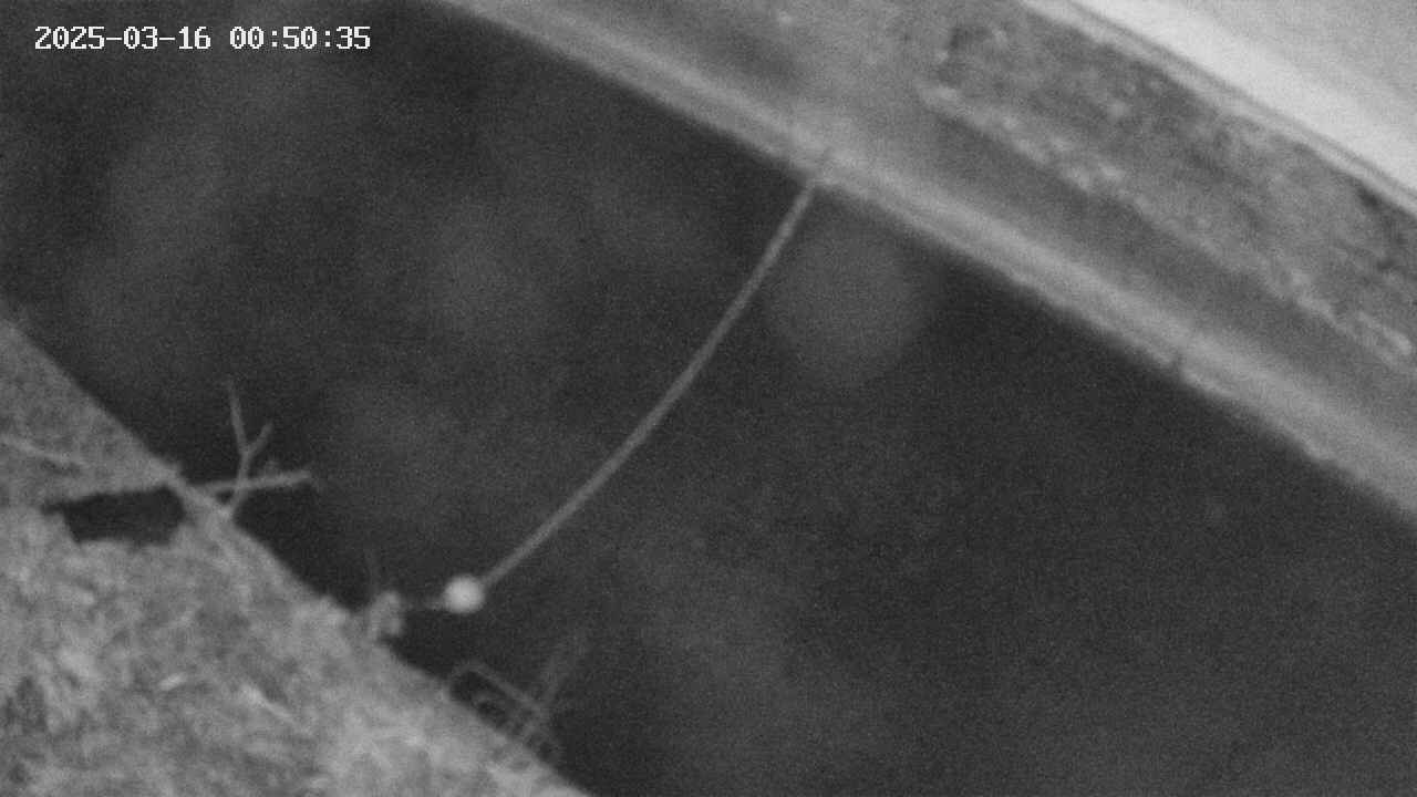 area10-20250316005036.jpg