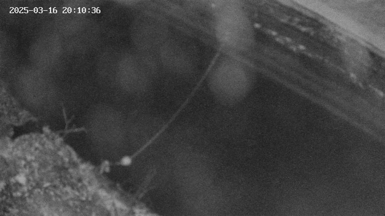 area10-20250316201036.jpg