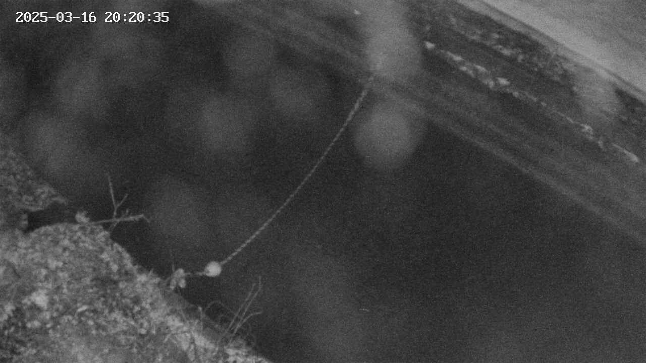 area10-20250316202035.jpg