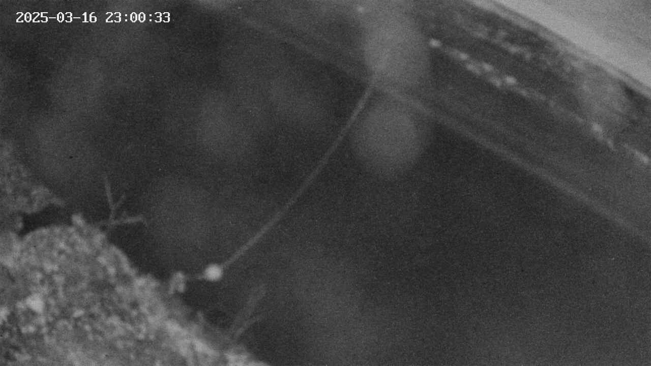 area10-20250316230034.jpg