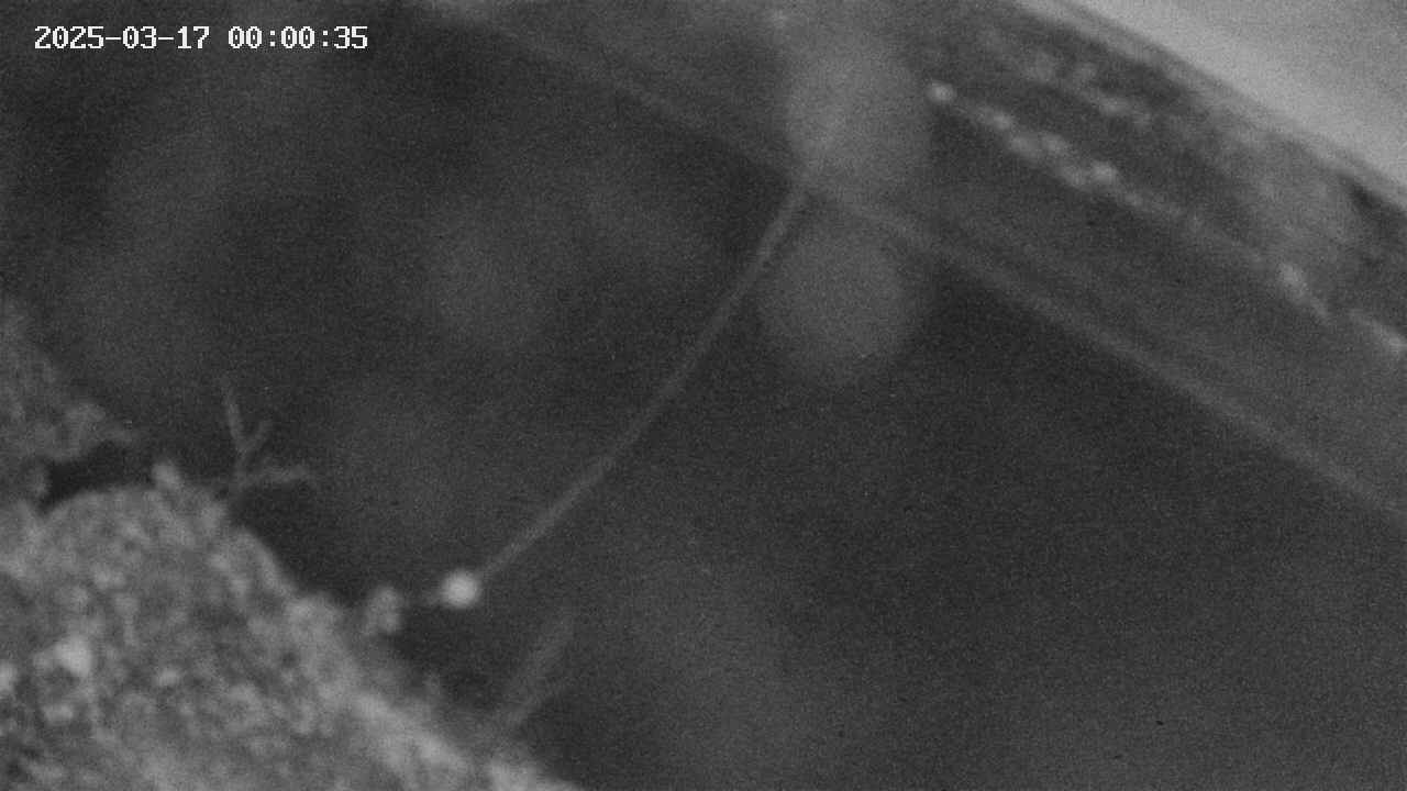area10-20250317000036.jpg