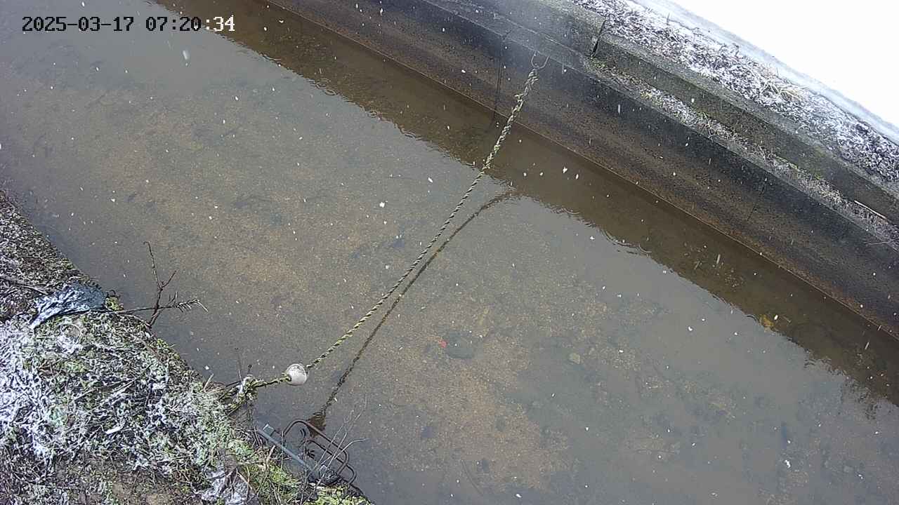 area10-20250317072035.jpg
