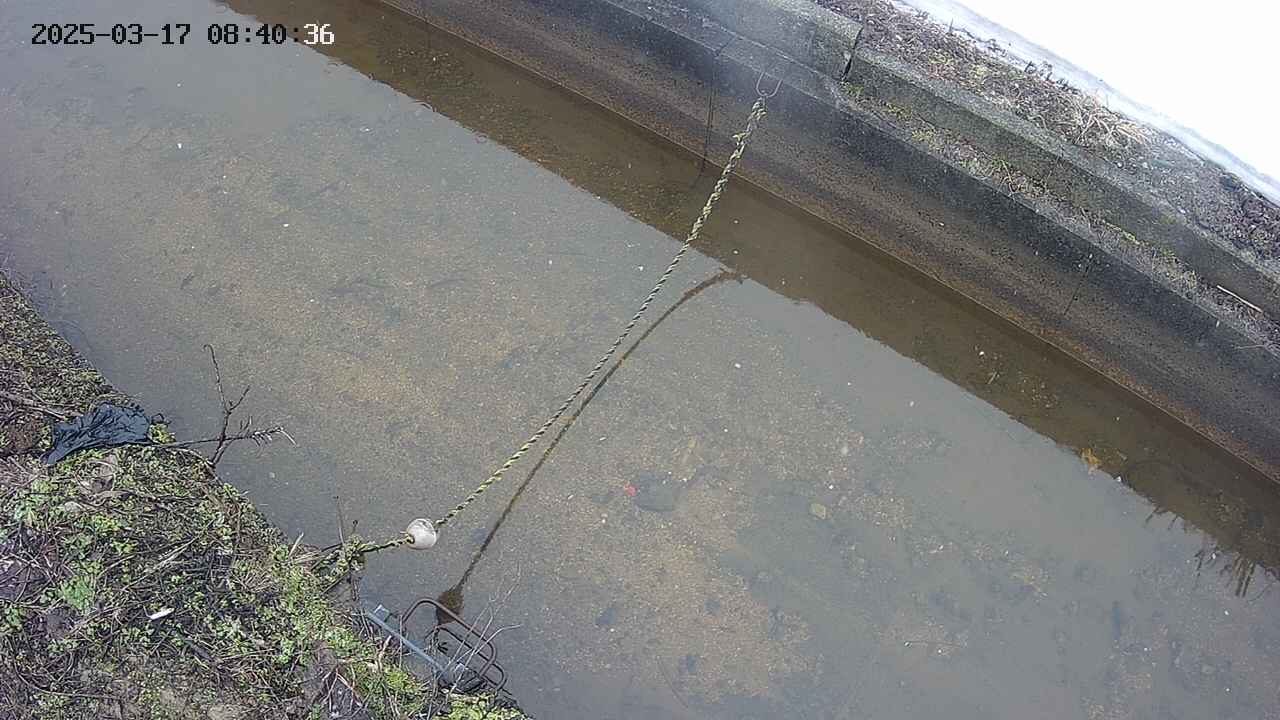 area10-20250317084037.jpg