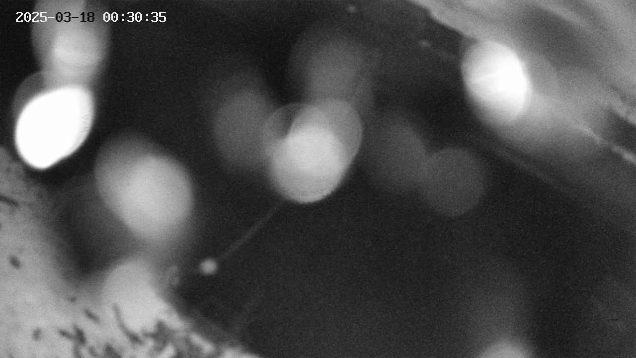 area10-20250318003036.jpg