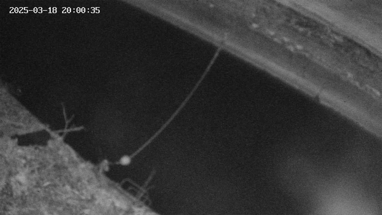 area10-20250318200037.jpg