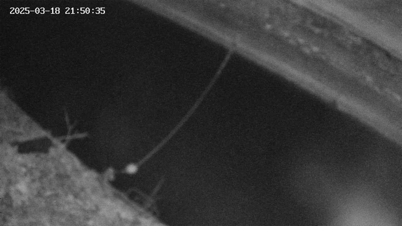 area10-20250318215036.jpg