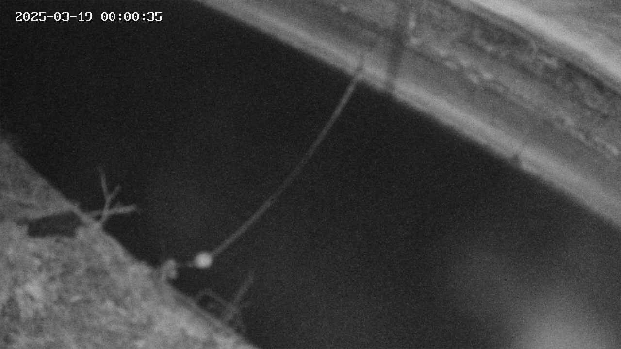 area10-20250319000037.jpg