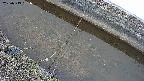 area10-20250319091036.jpg