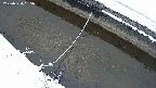 area10-20250320055038.jpg