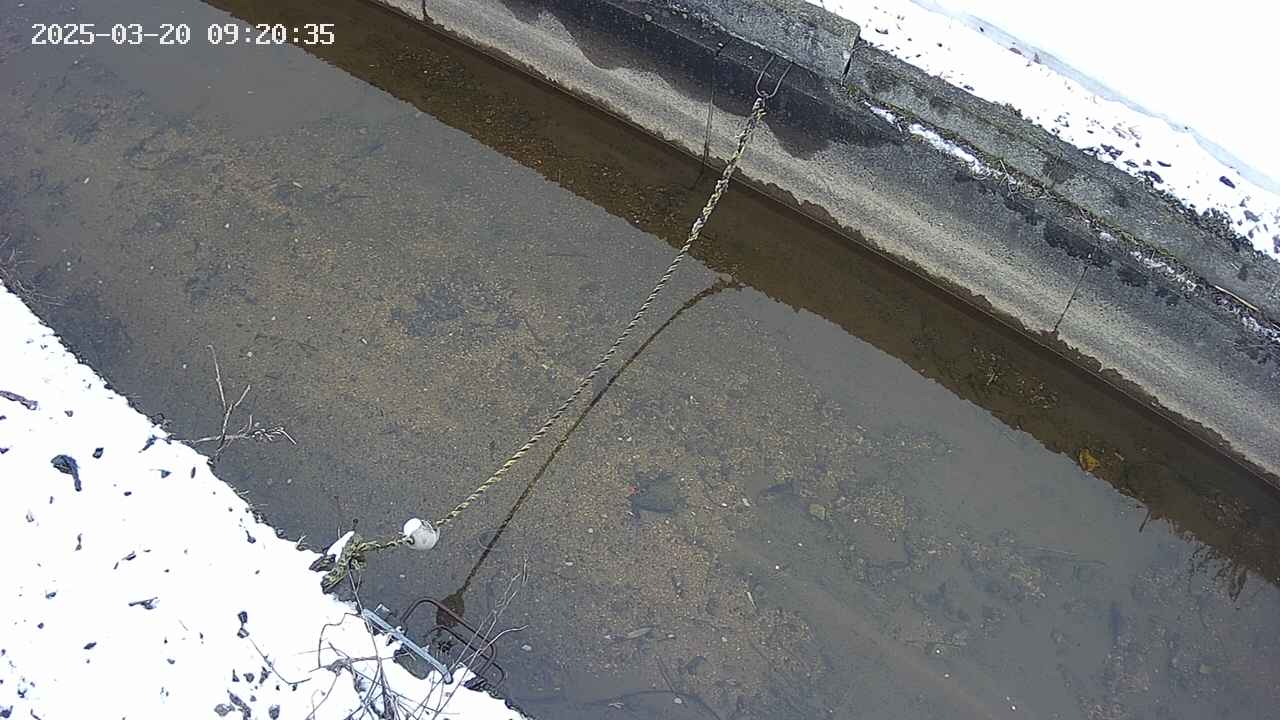 area10-20250320092036.jpg