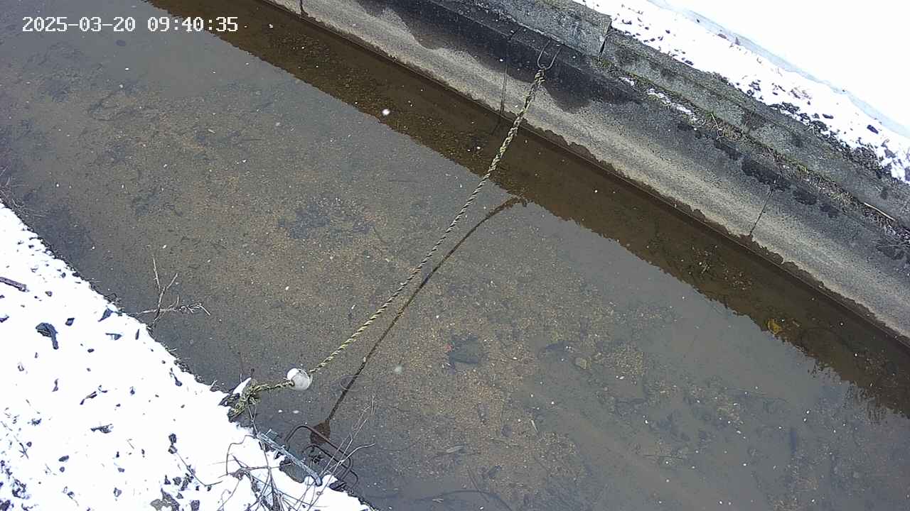 area10-20250320094036.jpg