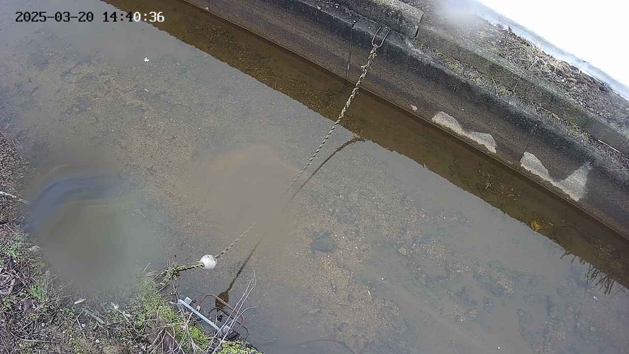 area10-20250320144036.jpg
