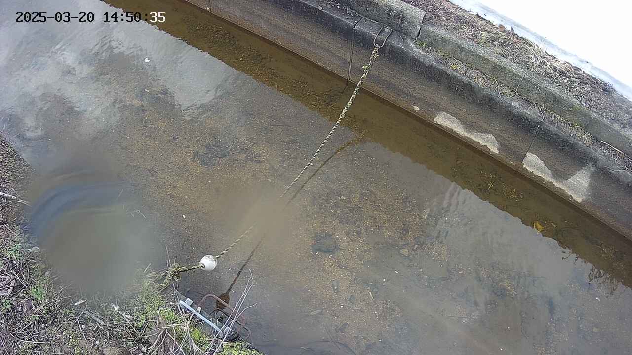 area10-20250320145036.jpg