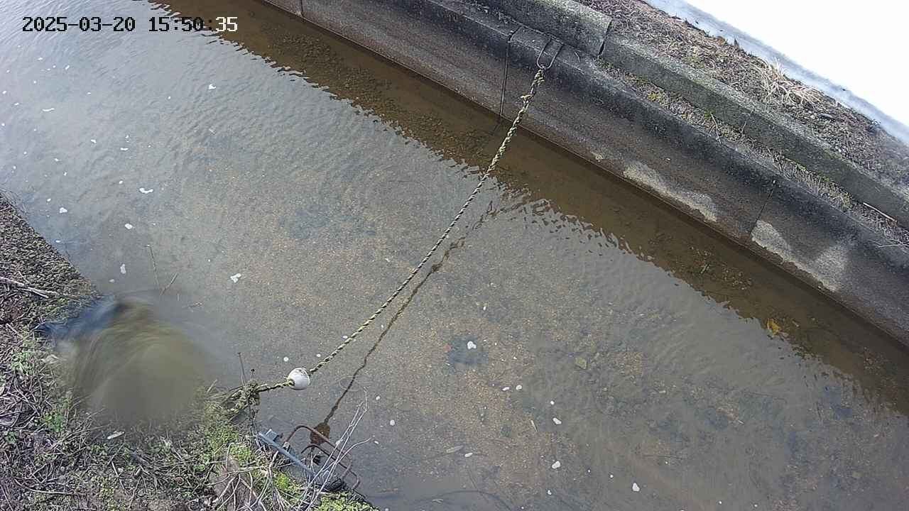 area10-20250320155036.jpg