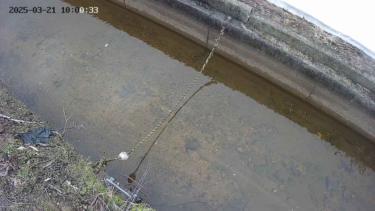 area10-20250321100035.jpg