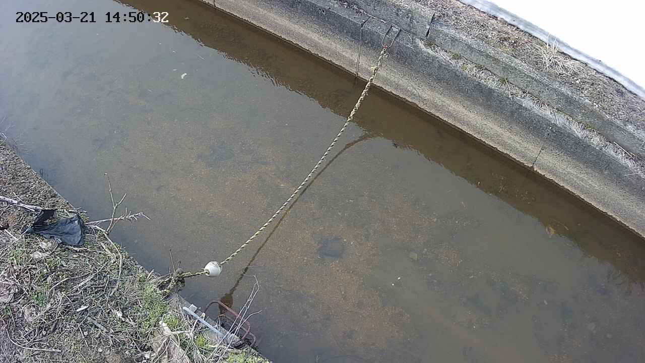 area10-20250321145034.jpg