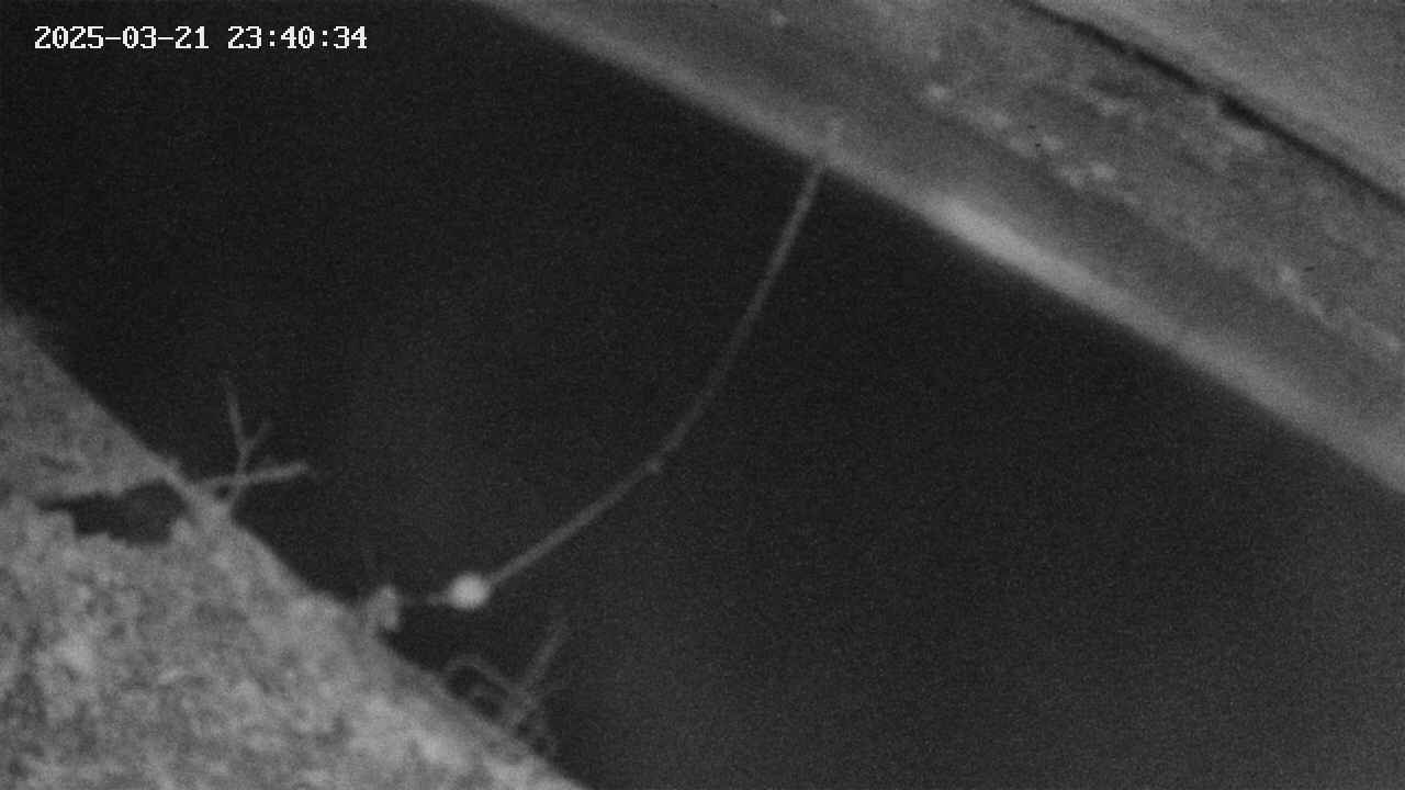 area10-20250321234036.jpg