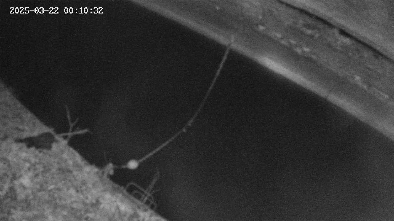 area10-20250322001034.jpg