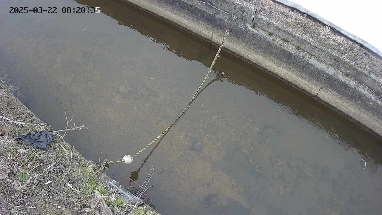area10-20250322082035.jpg