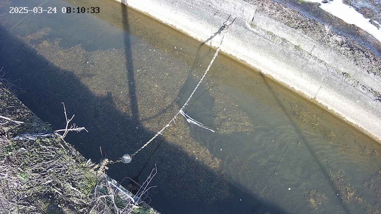 area10-20250324081034.jpg