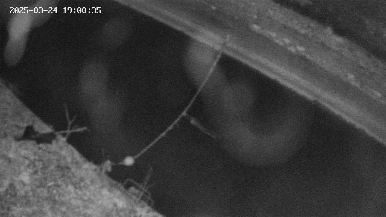 area10-20250324190036.jpg