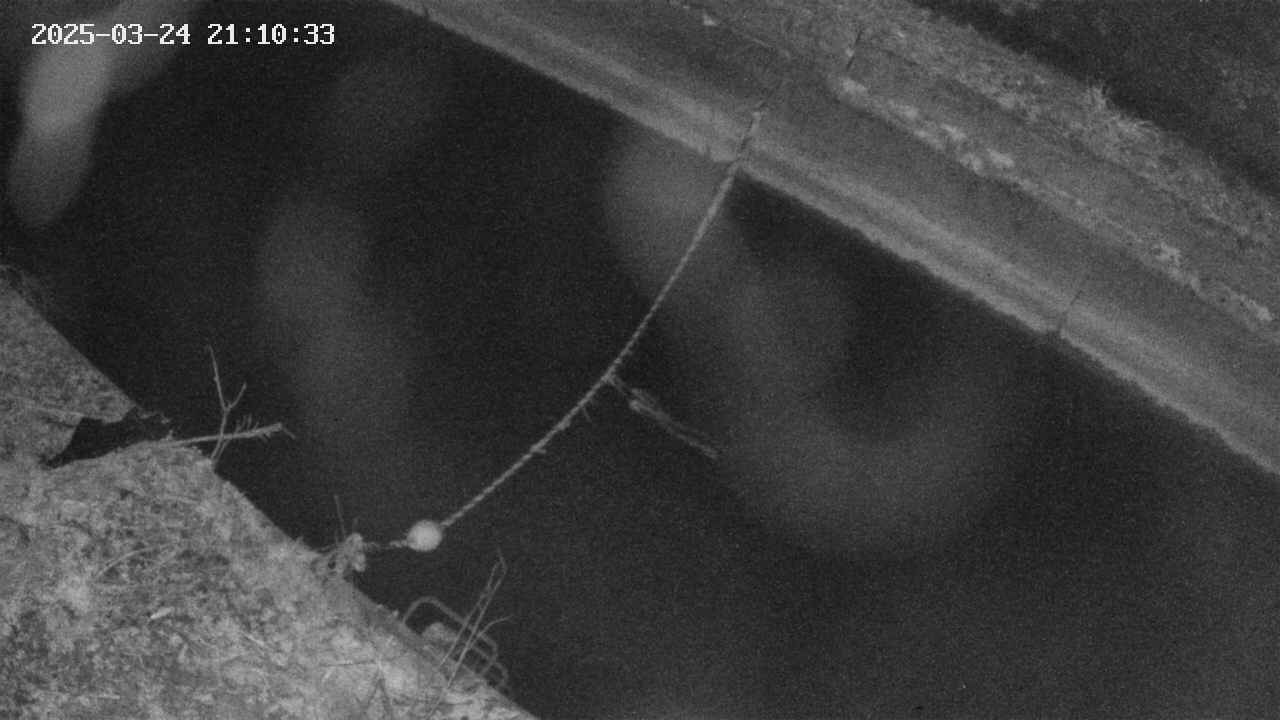 area10-20250324211035.jpg