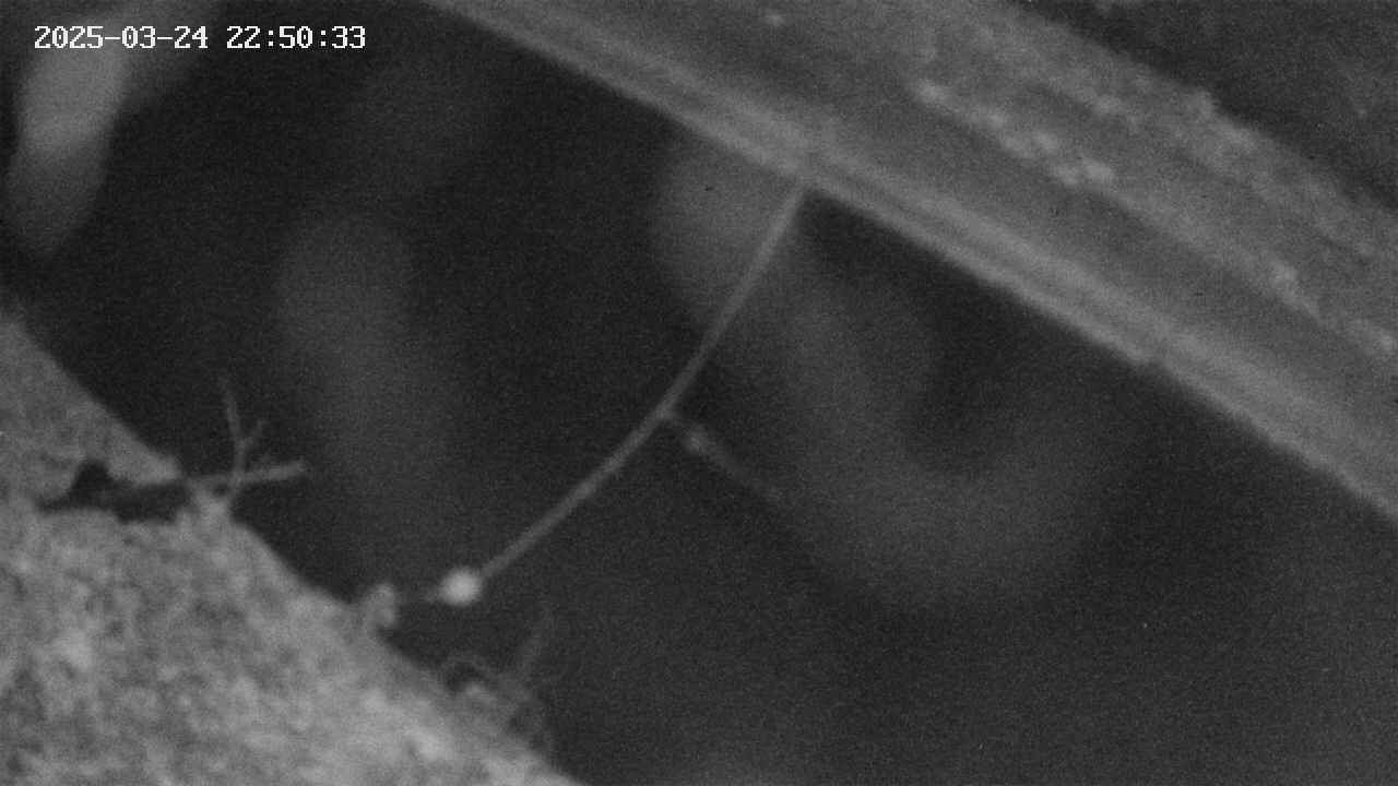 area10-20250324225034.jpg