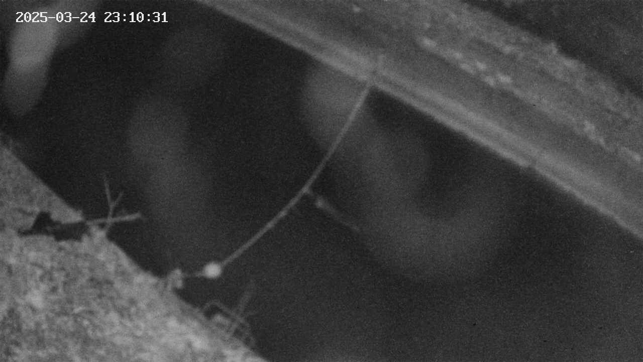 area10-20250324231033.jpg