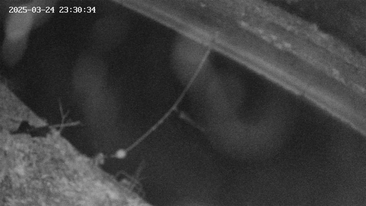 area10-20250324233036.jpg