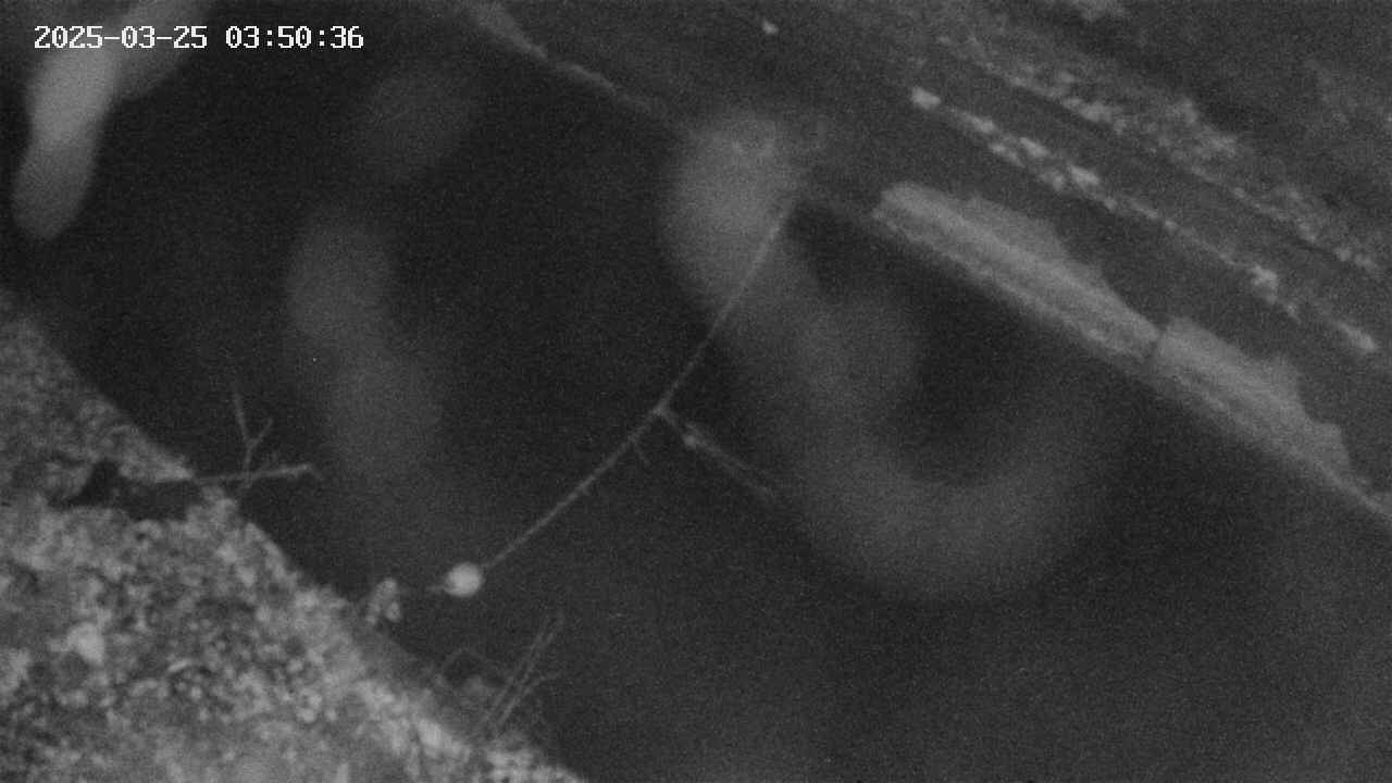 area10-20250325035036.jpg