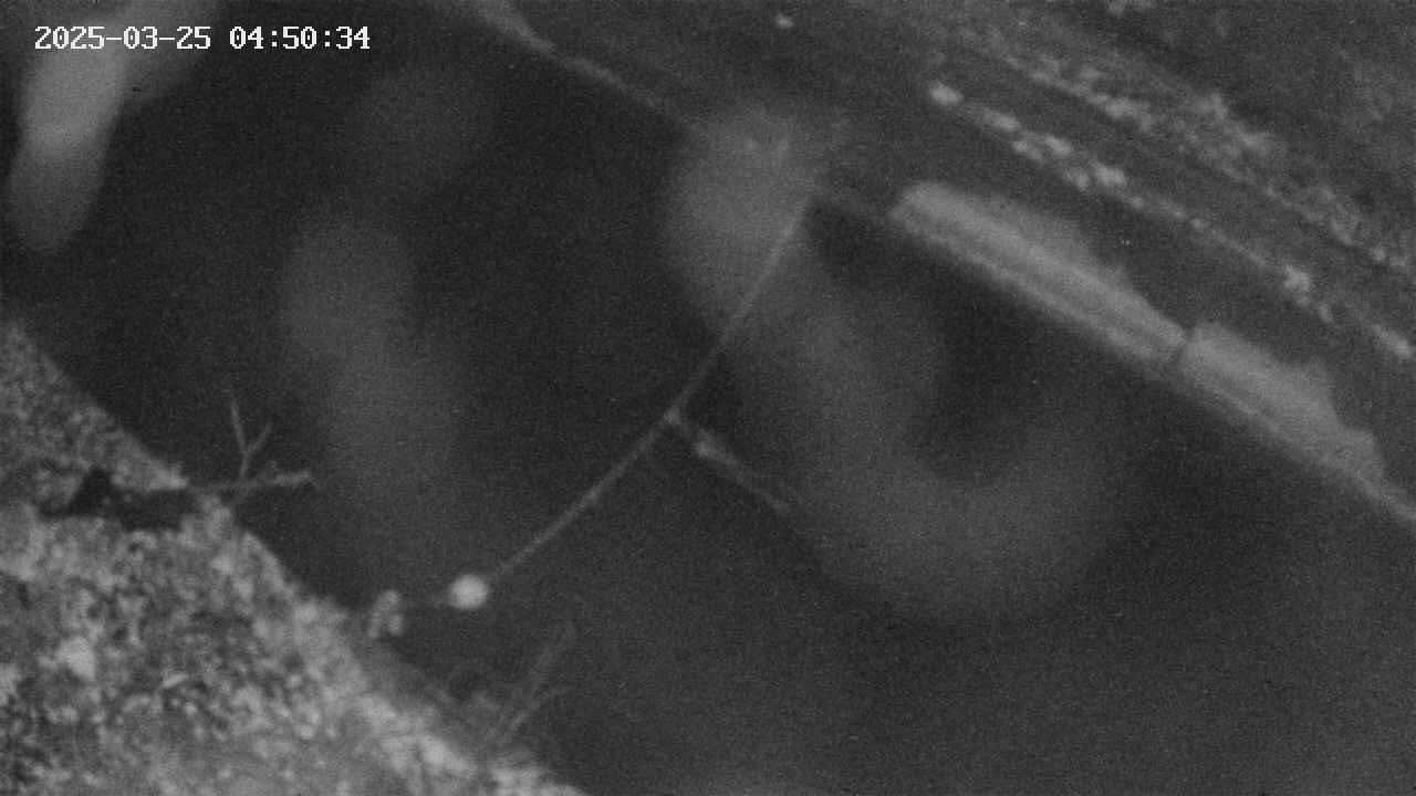 area10-20250325045035.jpg