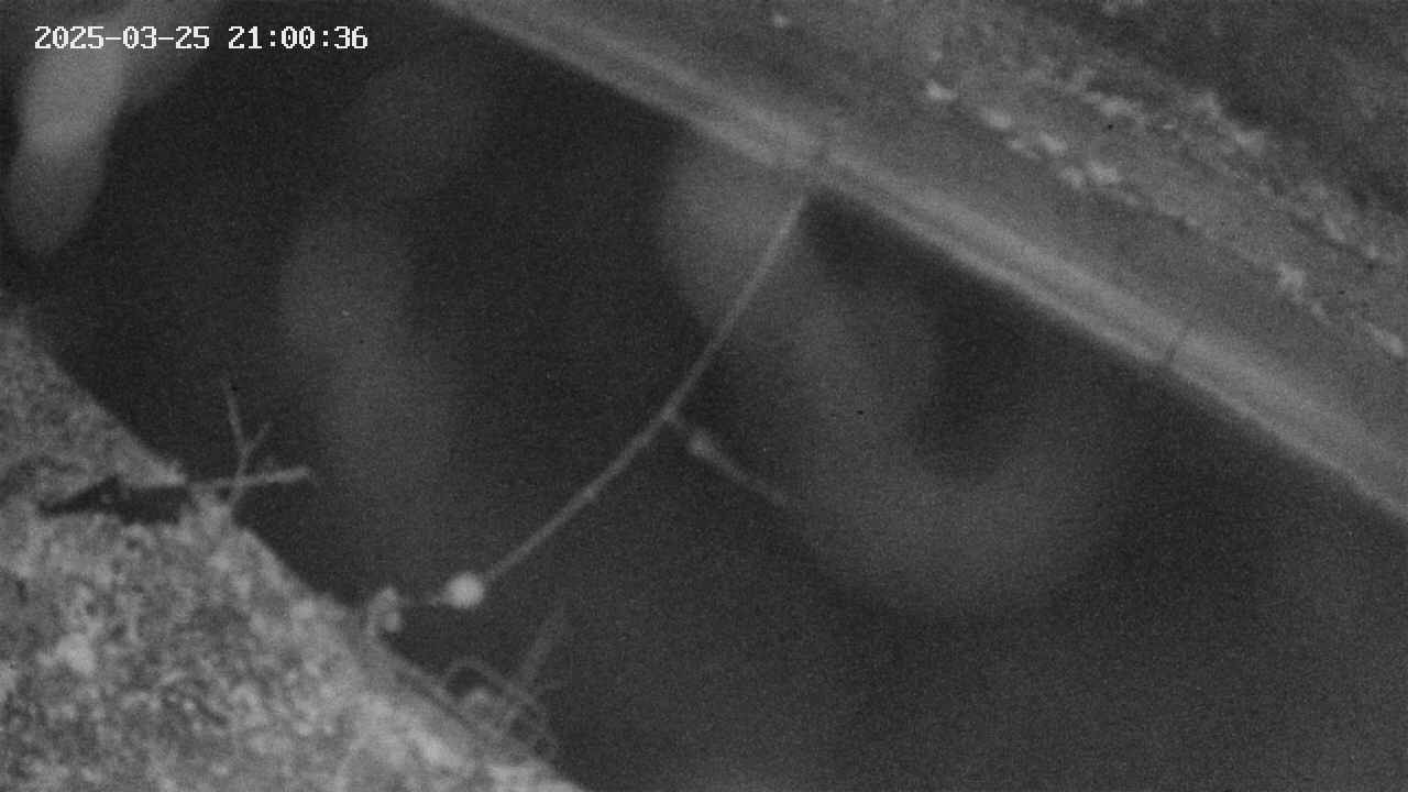 area10-20250325210038.jpg