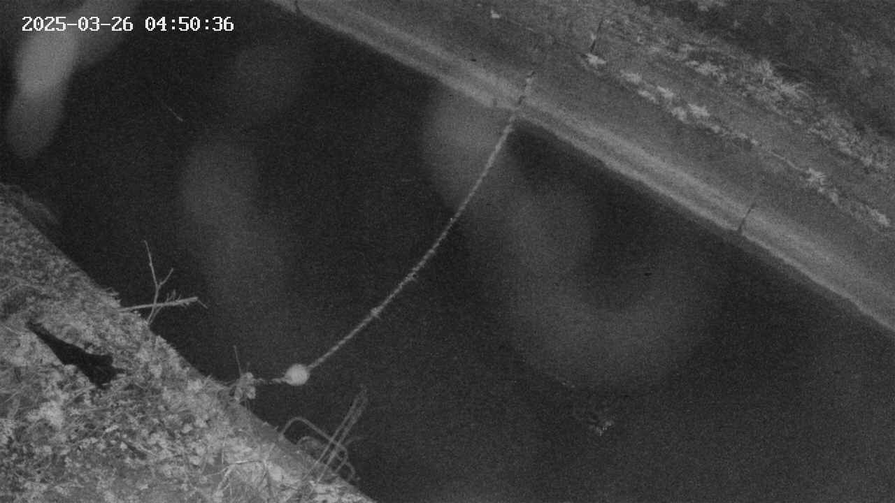 area10-20250326045036.jpg