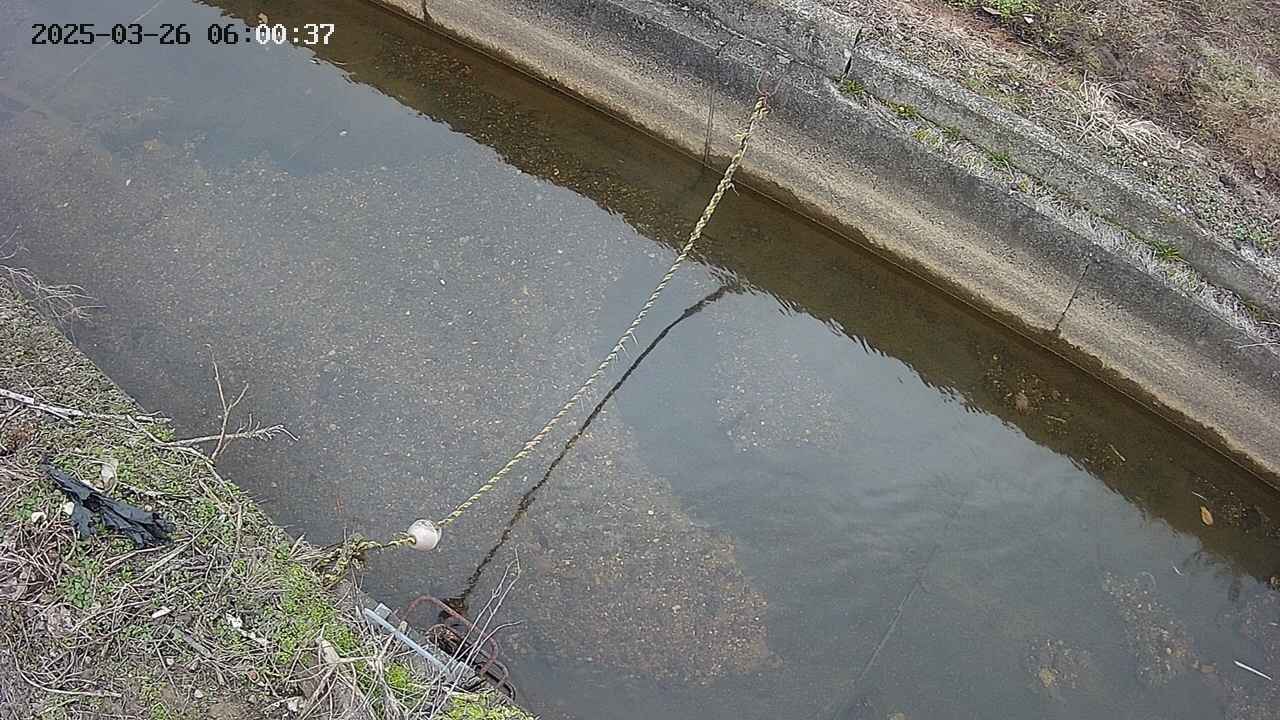 area10-20250326060038.jpg