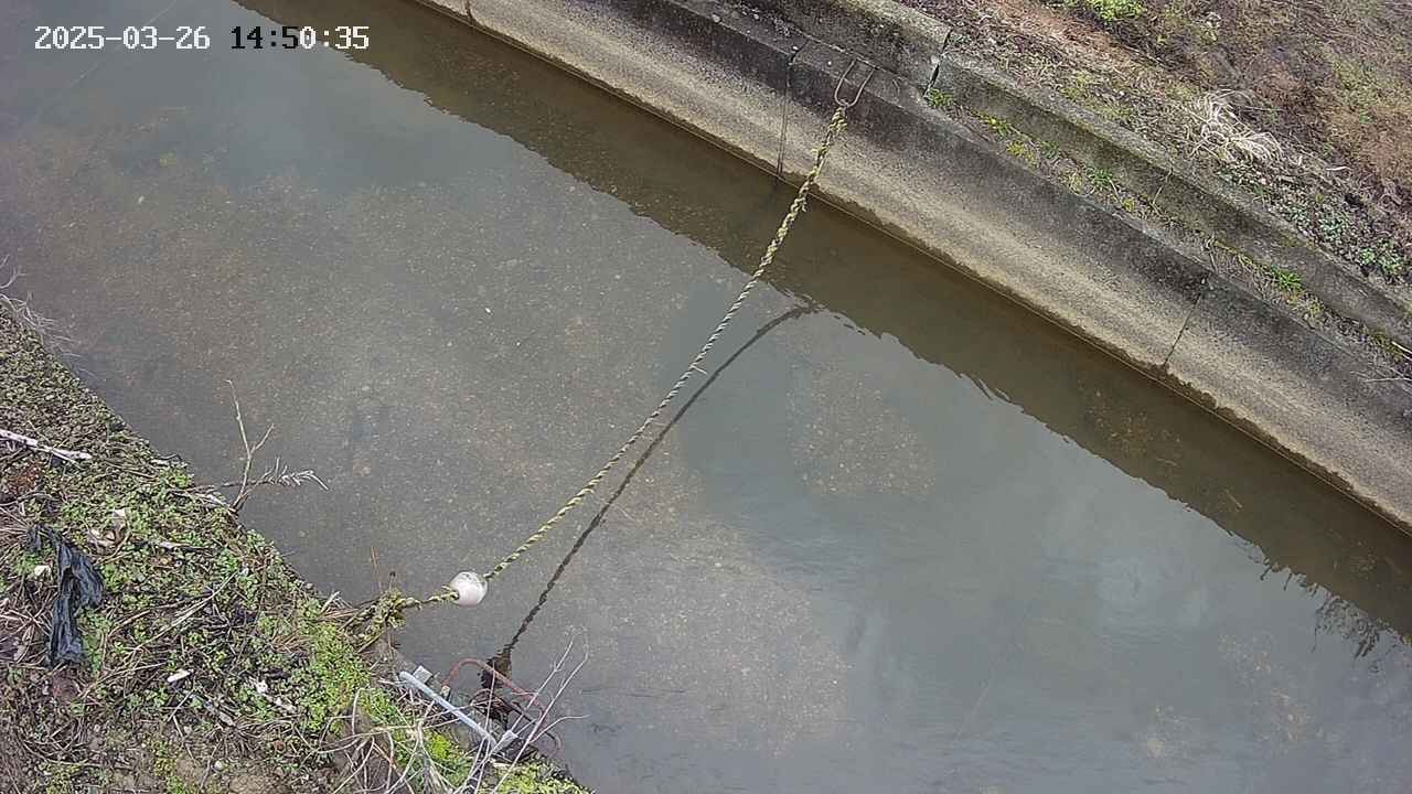 area10-20250326145036.jpg
