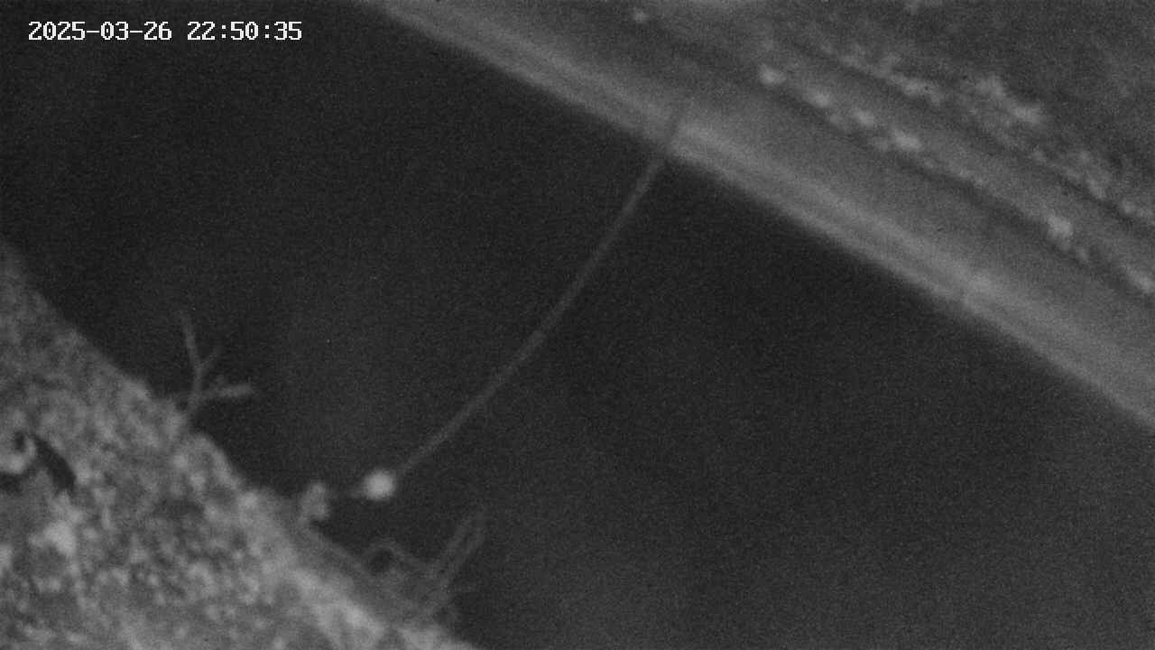 area10-20250326225036.jpg
