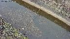 area10-20250327064036.jpg