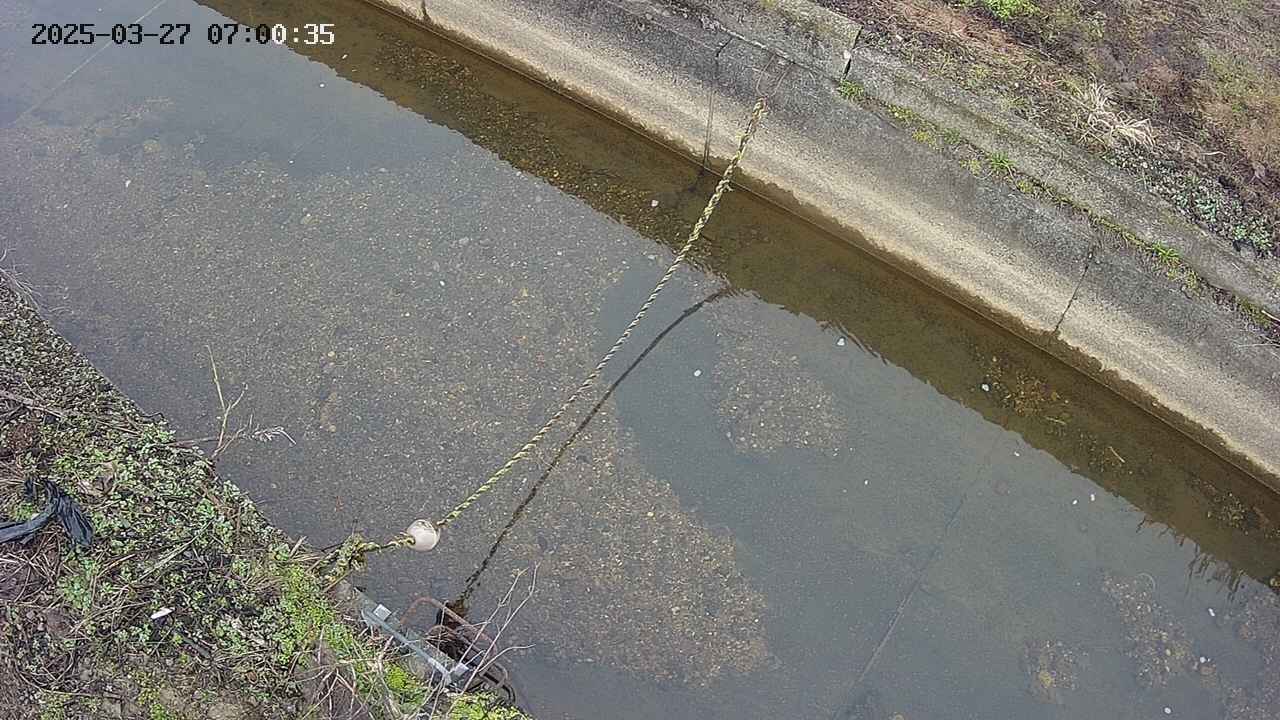area10-20250327070036.jpg