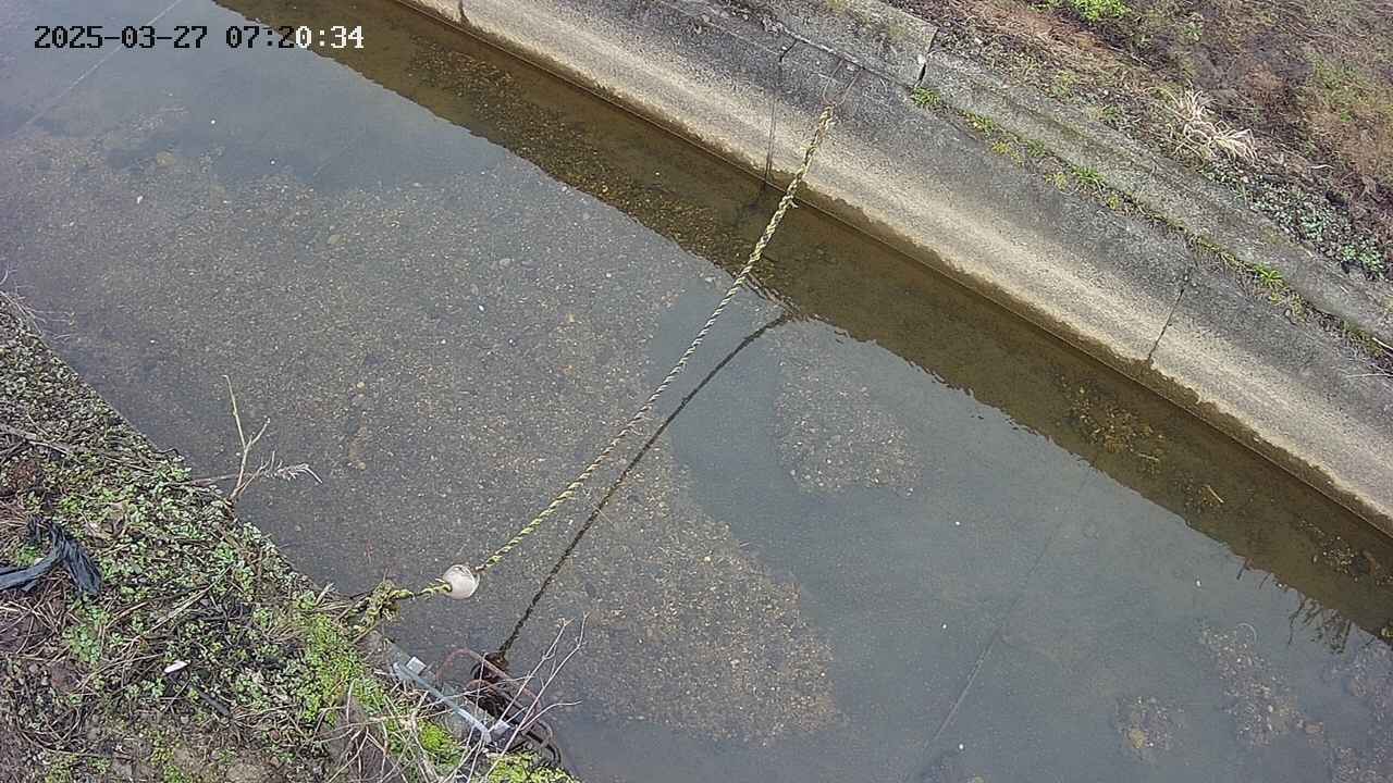 area10-20250327072036.jpg